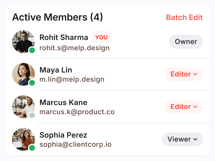 Roles per person, owner in control